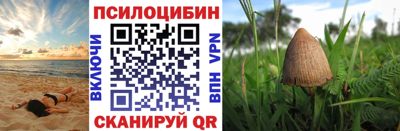 Псилоцибиновые грибы GOLDEN TEACHER  Купить закладки  Гремячинск 